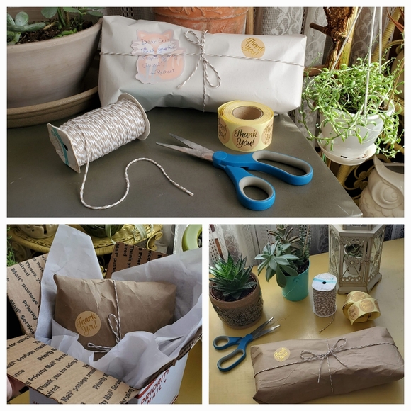 Meet your Posher, Rachael! - Picture 2 of 6